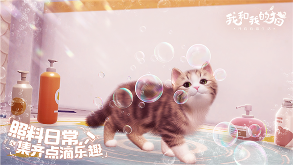 我和我的猫截图